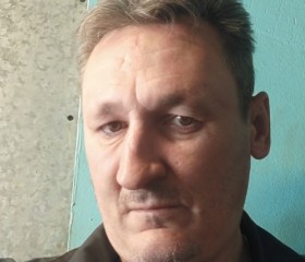 Николай, 49 лет, Калининград
