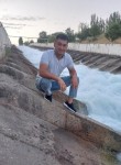 Руслан, 37 лет, Toshkent