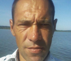 константин, 45 лет, Новоржев