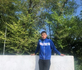 Арген, 31 год, Бишкек