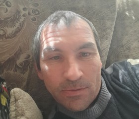 Владимир, 44 года, Ақсу (Павлодар обл.)