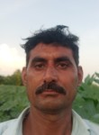 Ramesh.Desai, 26 лет, New Delhi