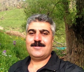 ebrahim, 46 лет, مَه آباد