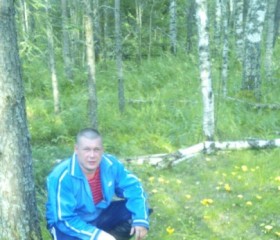александр, 45 лет, Бокситогорск