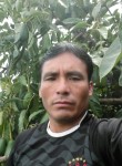 Eliseo, 52 года, Lima