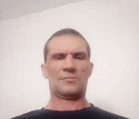 Александр, 54 года, Тазовский