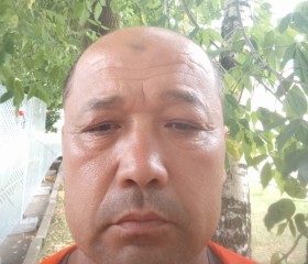 Rustam, 45, Moscow