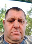 Николай, 44 года, Брянск