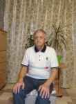 Владимир Цыгвинц, 65 лет, Казань