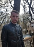Даниил, 28 лет, Смоленск