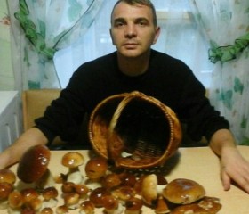 Роман, 45 лет, Сосногорск