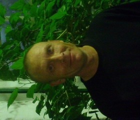 Владимир, 44 года, Челябинск
