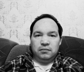 Сергей, 44 года, Сенгилей