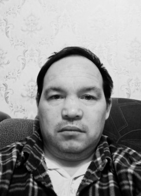Сергей, 43, Россия, Сенгилей