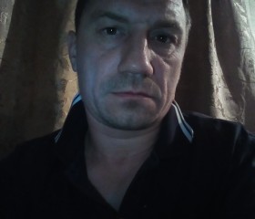 Станислав Нуждин, 43 года, Златоуст