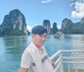 Nguyễn Hải vinh, 43 года, Thành phố Hồ Chí Minh