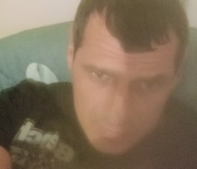 Yuuoi rrtuigela, 41, Tbilisi