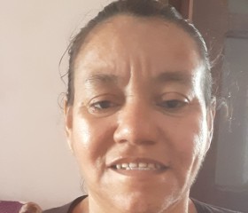 Silvana lima, 52 года, Santarém