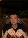 кот, 33 года