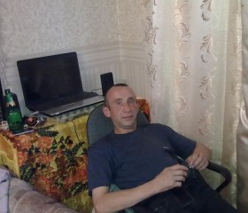 Валентинович, 46 лет, Череповец