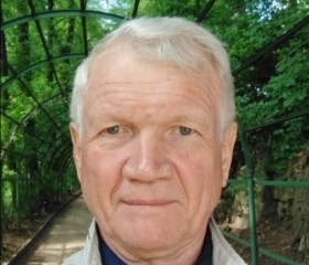 Viktor, 70, Saint Petersburg