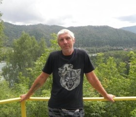 Виктор, 61 год, Бийск