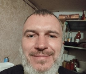 Андрей, 44 года, Горлівка
