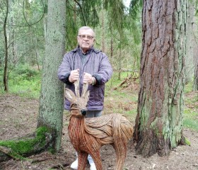 Sergey, 68, Saint Petersburg