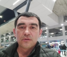 Дониер, 46 лет, İstanbul
