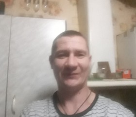 Серёга, 41 год, Нелидово