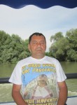 DFKTHF, 55 лет, Канаш