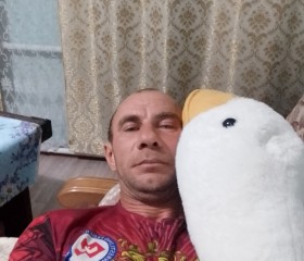 Юрий, 42 года, Михайловск (Ставропольский край)