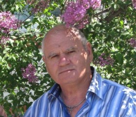 Петр, 70 лет, Калинівка