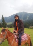 Shah, 28 лет, Srinagar (Jammu and Kashmir)