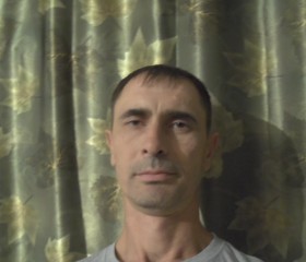 ВИКТОР, 44 года, Бишкек