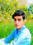 Asim shah, 18 лет, کراچی