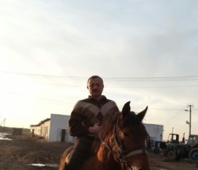 Рашид, 48 лет, Toshkent