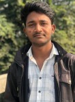 Shushil, 20 лет, Lucknow