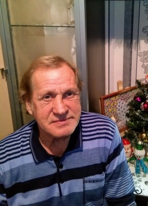 Олег Гринберг, 68, Россия, Шимановск