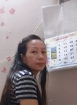 Liza  hacutina, 48 лет, Batu Pahat