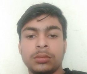 Nitin thakur, 19 лет, Delhi