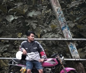 Dani, 25 лет, Kota Surabaya