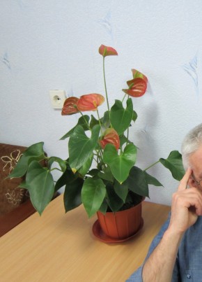 Олег, 61, Россия, Сарапул