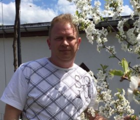 Ruslan, 40 лет, Döbeln