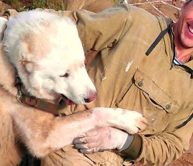 Aleksey, 48, Saint Petersburg