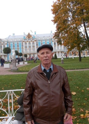 Владимир, 82, Россия, Пенза