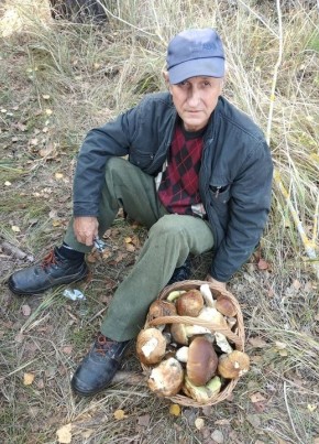 nikolay, 68, Ukraine, Kaniv