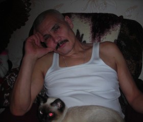 николай, 73 года, Звенигово