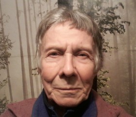 Вячеслав Добрых, 78 лет, Санкт-Петербург