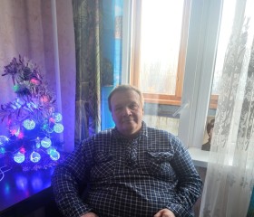 Владимир Яковлев, 52 года, Тольятти